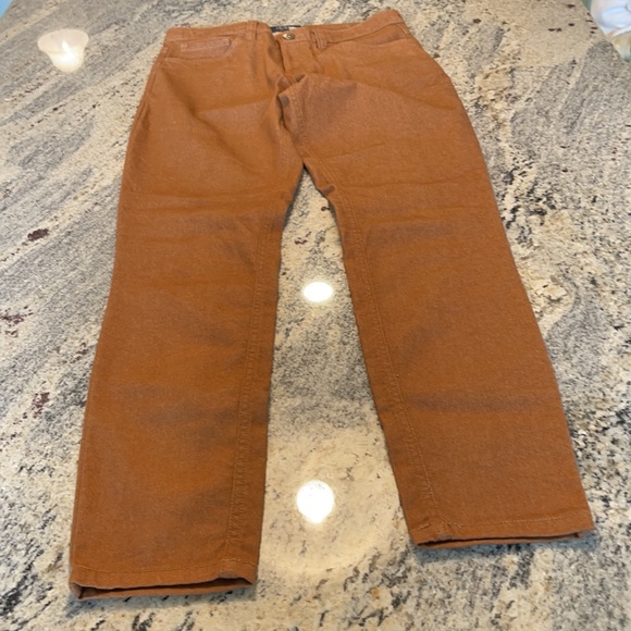 THE NORTH FACE BROWN SHIMMER SKINNY JEANS SZ 2 - Picture 7 of 8